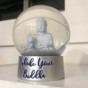 2/20$ Buddha snow globe
